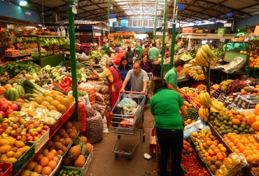 Los miembros del CONSA piden que ante la coyuntura del país no haya especulación con el precio de los alimentos. Foto: Juan Uribe - juanuribeviajes.com Producción mundial de carne, carne vacuna, carne bovina, producción de carne aumenta, Oficina Permanente Internacional de la Carne, International Meat Secretariat, IMS, OPIC, producción carne 2019, campaña negativa carne, consumo de carne en el mundo, carne mundo, ganadería, carne de res, CONtexto ganadero, ganaderos Colombia, noticias ganaderas Colombia