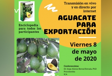 Este seminario que se transmitirá por Internet contará con expertos conectados desde Bogotá y Medellín. Foto: Cortesía Ganadería, ganadería colombia, noticias ganaderas, noticias ganaderas colombia, CONtexto ganadero, aguacate hass, Seminario Aguacate de exportación, aguacate Hass, cultivo de aguacate, aguacate para exportación, aguacate Colombia exportación, cosecha de aguacate, cómo cultivar aguacate, capacitación virtual, producción de aguacate
