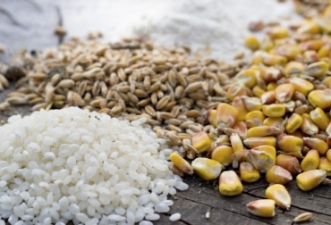 La producción mundial de cereales seguirá en aumento en la temporada 2019/2020 con el consecuente efecto en la reducción de los precios. Foto: freepik.es/photoroyalty cereales, USDA, maíz, sorgo, trigo, soya, Fenalce, productores, importaciones, etanol, estados unidos, unión europea, oferta, demanda, Producción, existencias, siembras, cereales secundarios, Ganadería, ganadería colombia, noticias ganaderas colombia, CONtexto ganadero.