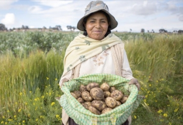 Agricultores colombianos y bolivianos han buscado la forma de seguir llevando sus productos a los hogares de sus clientes. Foto: lavozdebolivia.com Ganadería, ganadería colombia, noticias ganaderas, noticias ganaderas colombia, CONtexto ganadero, cuarentena, cuarentena Colombia, COVID-19, agricultores, FAO, FAO Colombia, fao bolivia, trueque productos, domicilios productos, domicilio productos bolivia, domicilio productos agricolas, domicilio agricultores colombia, agricultores Colombia, perdida agricultores, ganaderos colombia, ganaderos