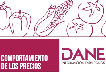 Los precios de los productores sobre los cuales el gobierno está ejerciendo control siguen registrando grandes fluctuaciones dependiente de la zona del país donde se adquiera. Foto: dane.gov.co DANE, control de precios, Alimentos, cuarentena, leche, queso, papa, cebolla, supermercados, tiendas, variación, Ganadería, ganadería colombia, noticias ganaderas colombia, CONtexto ganadero