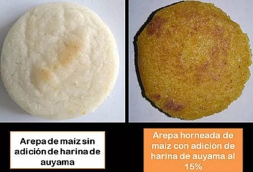 Una investigación de la Universidad Nacional demostró las bondades de preparar arepas con harina de auyama ya que aporta más fenolones y contribuye a la nutrición de las personas. Foto: Agencia de Noticias Unal auyama, arepas, harina, alimentación, agricultura, investigación, universidad nacional, fenoles, betacarotenos, antioxidantes, pruebas sensoriales, propiedades de pH, producción industrial, Ganadería, ganadería colombia, noticias ganaderas colombia, CONtexto ganadero