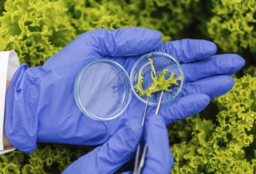 Tras la Covid-19 las cadenas agroalimentarias deberán hacer mayor uso de la biotecnología y de la conectividad para acoplarse a las exigencias de los consumidores. Foto: freepik.es/freepic.diller biotecnología, Producción, Alimentos, semillas mejoradas, productores, conectividad, Inversión, investigación y desarrollo, cadenas de valor, COVID-19, Iica, CIAT, consumidores, calidad nutricional, extensión digital, Ganadería, ganadería colombia, noticias ganaderas colombia, CONtexto ganadero