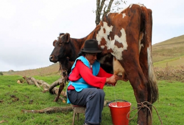 La pandemia no detuvo el campo, al contrario, ha robustecido su papel y demostrado su importancia para el país. Foto: Lavagamundos. com ganadería, ganadería colombia, noticias ganaderas, noticias ganaderas colombia, contexto ganadero, covid-19, campesinos covid-19, campesinos héroes covid-19, coronavirus, pandemia coronavirus, abastecimiento alimentos covid-19, seguridad alimentaria colombia, campesinos, campesinos colombianos,