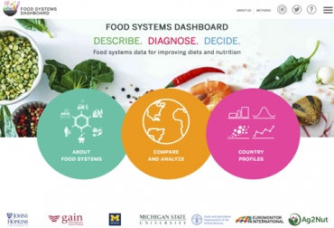 El Food Systems Dashboard es una herramienta que quiere facilitarle la toma de decisiones acerca de los sistemas alimentarios a quienes se encargan de manejar el tema alrededor del mundo. Foto: foodsystemsdashboard.org Ganadería, ganadería colombia, noticias ganaderas, noticias ganaderas colombia, CONtexto ganadero, GAIN, Universidad de Hopkins, FAO, herramienta en línea FAO, Panel de la FAO, sistema alimentario, seguridad alimenraria, seguridad alimentaria mundo, crisis alimentaria, emergencia sanitaria, emergencia sanitaria Covid-19, COVID-19, Pandemia, ganaderos, ganaderos colombia