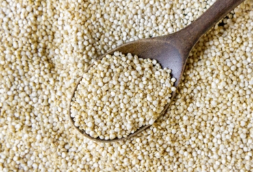 Un nuevo mercado se abre para las exportaciones no tradicionales de Colombia, se trata de México que autorizó el ingreso de la quinua de nuestro país. Foto: freepik.es/fotos/comida creado por KamranAydinov quinua, ICA, exportación, méxico, requisitos fitosanitarios, diplomacia sanitaria, autoridades sanitarias, Acuerdos comerciales, Alimentos, nutrición, aminoácidos esencialesganadería, ganadería colombia, noticias ganaderas colombia, CONtexto ganadero