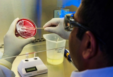 Ante la resistencia bacteriana y la poca rentabilidad de los antibióticos, los laboratorios prefieren dedicarse a buscar tratamientos para enfermedades crónicas no infecciosas. Foto: CDS/Unsplash. Ganadería, ganadería colombia, noticias ganaderas, noticias ganaderas colombia, CONtexto ganadero, bacterias, resistencia de las bacterias, salud de la tierra, salud humana, natalia piedrahita tamayo, onehealth, OMS
