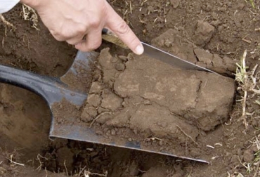 La calidad del suelo es un factor fundamental para las labores agrícolas y por eso Agrosavia viene trabajando con biotecnología para encontrar soluciones a problemas de degradación. Foto: elinformador.com.co suelos, Agrosavia, erosión, biotecnología, propuestas tecnológicas, cooperación internacional, bacterias, crecimiento vegetal, Ganadería, ganadería colombia, noticias ganaderas colombia, CONtexto ganadero