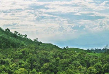 Con esta información, el productor podrá tomar mejores decisiones en materia de siembras. Foto: Ideam. boletín semana sector agrícola, IDEAM, Ganadería, ganadería colombia, noticias ganaderas, noticias ganaderas colombia, CONtexto ganadero, pronósticos Ideam, clima, clima colombia, clima colombia 2020, pronósticos ideam 2020