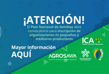Conozca los productos y regiones priorizadas por parte de Agrosavia, ICA y Sena. Foto: Agrosavia. ganadería, ganadería colombia, noticias ganaderas, noticias ganaderas colombia, contexto ganadero, agrosavia, plan nacional de semillas, plan nacional de semillas agrosavia, semillas colombia, fortalecimiento del sistema nacional de semilla, ica, sena,