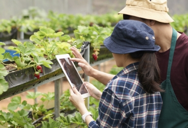 La inteligencia artificial o el machine learning, que se han aplicado a otros sectores, también pueden ayudar al sector agropecuario. Foto: Cortesía Machine Learning, inteligencia artificial, IA, inteligencia artificial en la agroindustria, inteligencia artificial en la ganadería, inteligencia artificial para el campo, big data, biotecnología, machine learning agricultura, Agro 4.0, Industria 4.0, industria 4.0 ganadería, industria 4.0 lechería, ganaderos industria, ganaderos industria 4.0, inteligencia artificial en ganadería, avances tecnología ganadería, coronavirus, coronavirus Colombia, COVID-19, cuarentena, Ganadería, ganadería colombia, noticias