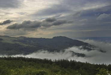 Tenga en cuenta las recomendaciones del Ideam en materia climática. Foto: ideam.gov.co boletín semana sector agrícola, IDEAM, Ganadería, ganadería colombia, noticias ganaderas, noticias ganaderas colombia, CONtexto ganadero, pronósticos Ideam, clima, clima colombia, clima colombia 2020, pronósticos ideam 2020