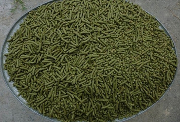 Así luce el pellet obtenido a base de chontaduro. Foto: María Martínez Guardia - UNAL sede Manizales. Ganadería, ganadería colombia, noticias ganaderas, noticias ganaderas colombia, CONtexto ganadero, alimento para cerdos, suplementos para cerdos, alternativas para alimentar cerdos, concentrado de cáscara de chontaduro, cáscara de chontaduro para cerdos, alimento para cerdo con chontaduro, agencia de noticias UN