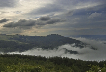 Conozca el comportamiento del clima para su región en este informe. Foto: colombia.com boletín semana sector agrícola, IDEAM, Ganadería, ganadería colombia, noticias ganaderas, noticias ganaderas colombia, CONtexto ganadero, pronósticos Ideam, clima, clima colombia, clima colombia 2020, pronósticos ideam 2020