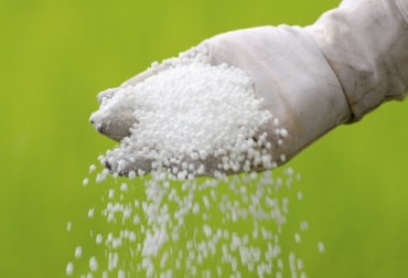 Los fertilizantes juegan un papel importante tanto en la agricultura como en la ganadería por cuanto permite mejorar el desempeño de los cultivos. Foto: agriculturers.com fertilizantes, pastos, Forrajes, nutrición, bovinos, prácticas agronómicas, pastoreo, digestibilidad, proteínas, materia seca, nitrógeno, potasio, Ganadería, ganadería colombia, noticias ganaderas colombia, CONtexto ganadero