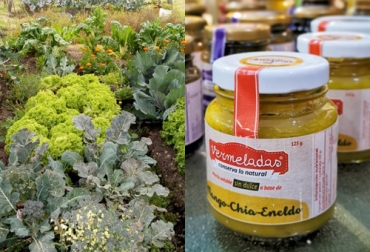 Los Mercados solidarios MD permiten que agricultores y organizaciones comunitarias ofrezcan sus cultivos así como otro tipo de productos. Foto: Cortesía Mercados solidarios MD, app para hacer mercado, Uniminuto, Minuto de Dios, mercados solidarios Colombia, mercados solidarios minuto de Dios, app mercado, app para comprar frutas y verduras, app para hacer compras, hogares colombianos, productor consumidor, mejor relación productor consumidor, vender frutas, vender verduras, ganado bovino, Ganadería, ganadería colombia, noticias ganaderas, noticias ganaderas colombia, CONtexto ganadero, contextoganadero