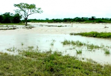 Las condiciones para que se presente un fenómeno de La Niña se sitúan entre el 90 y 95 %. Foto: CONtexto ganadero. Ganadería, ganadería colombia, noticias ganaderas, noticias ganaderas colombia, CONtexto ganadero, Fenómeno de la Niña, la niña, la niña en colombia, la niña 2020, fenómeno de la niña en colombia, fenómeno de la niña 2020 en colombia, IDEAM, ideam pronostico fenómeno de la niña, NOAA, noaa fenómeno de la niña, yolanda gonzález ideam