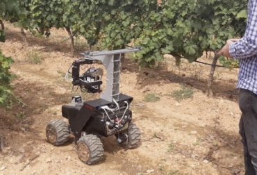 Con esta nueva tecnología se permitirá obtener una mejor calidad del fruto. Foto: foodnewslatam.com Ganadería, ganadería colombia, noticias ganaderas, noticias ganaderas colombia, CONtexto ganadero, control de plagas, equipos control de plagas, diagnóstico control de plagas, cuidados control de plagas, inteligencia artificial, proyecto control de plagas cultivos España, control de plagas cultivos españa