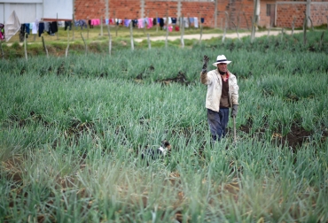Las propuestas deben ser entregadas en las Secretarías de Agricultura de cada departamento. Foto: Gobernación de Santander. Ganadería, ganadería colombia, noticias ganaderas, noticias ganaderas colombia, CONtexto ganadero, Alianzas Productivas, Minagricultura, ampliación plazo, convocatoria, fedegan, Tecnigán, Jóvenes Rurales, mujeres rurales, Secretarías de Agricultura, perfiles, Incentivo Modular, Capital de Trabajo, capacitación, comercialización, Gerencia, administración, Asistencia técnica, adecuación de tierras, acceso a tierra, cobertura de riesgos