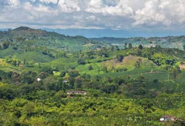 Conozca las predicciones climáticas para el inicio del año. Foto: matrimonio.com.co boletín semana sector agrícola, IDEAM, Ganadería, ganadería colombia, noticias ganaderas, noticias ganaderas colombia, CONtexto ganadero, pronósticos Ideam, clima, clima colombia, clima colombia 2021, pronósticos ideam 2021, clima enero 2021