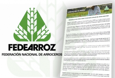 El gremio de los productores arroceros de Colombia confirmó que la cosecha de 2020 fue la más alta de los últimos años, pero las existencias son menores a 2 millones de toneladas. Foto: revistaagrollanos.com - @FEDEARROZGREMIO Federación Nacional de Arroceros, Arroz 2020, arroz segundo semestre 2020, viceministro Juan Gonzalo Botero arroz, arroz colombia, cosecha de arroz segundo semestre 2020, Fedearroz, Fondo Nacional del Arroz, gerente general del gremio, Rafael Hernández Lozano, producción arrocera, Soluciones de resiliencia para el sector arrocero en Colombia, ganaderos, ganaderos colombia, ganado, bovinos, ganado bovino, Ganadería, ganadería colombia, noticias ganaderas, noticias ganaderas colombia, CONtexto ganadero
