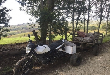 El conjunto de motocicleta y chasis presentó estabilidad y buen comportamiento de tracción, lo que demuestra que es una opción viable. Foto: Wilson Medina. Ganadería, ganadería colombia, noticias ganaderas, noticias ganaderas colombia, CONtexto ganadero, Maquinaria Agrícola, Maquinaria agropecuaria, moto maquinaria, moto sector agropecuario, importancia de la moto en el sector agrícola, moto-tractor, moto-tractor unal