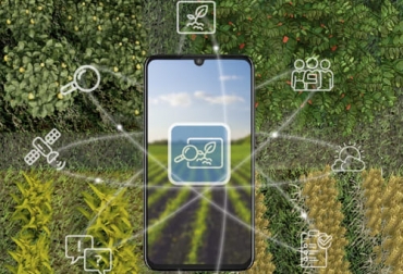 Con este kit de servicios se brindará acompañamiento a los productores en todas las etapas del cultivo, incluyendo análisis de suelos y monitoreo satelital. Foto: yara.com.co Yara Colombia, Servicio de Diagnóstico y Monitoreo de Cultivos, Yara Colombia 2021, Yara 2021, herramientas para el agricultor, herramientas digitales para el agro, fedegan, ganadería sostenible Colombia, ayudas a pequeños productores, pequeños ganaderos, ganaderos, ganaderos colombia, ganado, bovinos, ganado bovino, Ganadería, ganadería colombia, noticias ganaderas, noticias ganaderas colombia, CONtexto ganadero, contextoganadero
