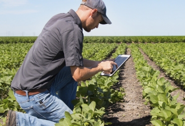 La aplicación de BASF es una alternativa para los trabajadores del campo que necesitan proteger sus cultivos o conocer precios del mercado, entre otras funciones. Foto: Cortesía Aplicación cultivos 2021, aplicación agricultura 2021, BASF Agro, aplicación para el campo, aplicación para protección de cultivos, precios de la agricultura, precios agro Colombia 2021, precios del agro colombiano, aplicaciones para el campo Colombia, ganaderos, ganaderos colombia, ganado, bovinos, ganado bovino, Ganadería, ganadería colombia, noticias ganaderas, noticias ganaderas colombia, CONtexto ganadero, contextoganadero