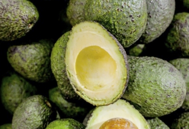 En el departamento están buscando el ingreso a como ingresar a mercados como el europeo, Estados Unidos y Asia Pacífico. Foto: Ministerio de Agricultura. Ganadería, ganadería colombia, noticias ganaderas, noticias ganaderas colombia, CONtexto ganadero, aguacate, aguacate hass, aguacate hass en colombia, producción de aguacate hass en antioquia, Antioquia, Gobernación de Antioquia, feria de agronegocios de antioquia