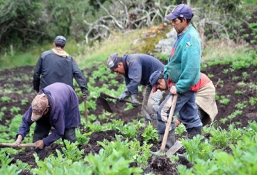 Solo el 2 % de los jóvenes rurales del país acceden a una carrera de pregrado. Foto: Meridiano 70. ganadería, ganadería colombia, noticias ganaderas, noticias ganaderas colombia, contexto ganadero, educación rural, acceso a la educación superior, educación superior en colombia, universidad de la salle, fundación universitaria del área andina, acceso a la educación superior para jovenes rurales, jovenes rurales, utopía universidad de la salle,