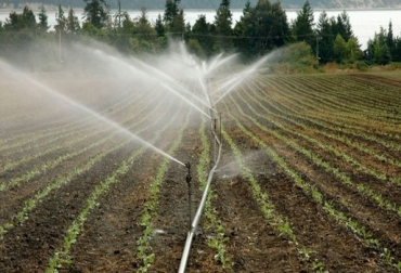 La experta considera que es fundamental el cuidado del agua para que los sistemas productivos sean sostenibles. Foto: Boletín UNAM. Ganadería, ganadería colombia, noticias ganaderas, noticias ganaderas colombia, CONtexto ganadero, Agua, Cuidado del agua, producción agropecuaria, sistemas agropecuarios, uso del agua en el agro, Cambio climático, mitigar el cambio climático, sistemas agropecuarios adaptados al cambio climático