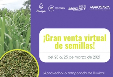 El próximo 25 de marzo es la gran venta virtual de semillas para aprovechar el comienzo de las lluvias y realizar una buena siembra. Foto: @Fedegan Almagán, Sáenz Fety, Agrosavia, semillas, venta virtual, promoción, pastos, Forrajes, pasturas, Lluvias, IDEAM, Ibex, Dorcas, Shogun, avena forrajera, Alto Andina, Wizard, brachiarias, Sabiá, DECUMBENS, Brizantha Maraundu, piatá, Xaraes, Toledo, HUMIDICOLA, Dictyoneura, Panicum, Megathyrsus, Mombaza, Tanzania, agrosavia sabanera, Ganadería, ganadería colombia, noticias ganaderas colombia, CONtexto ganadero