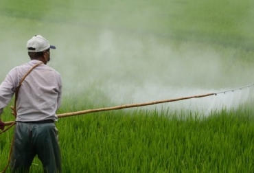 El uso de plaguicidas lleva a que se encuentren residuos en las cadenas alimentarias. Foto: analdex.org Ganadería, ganadería colombia, noticias ganaderas, noticias ganaderas colombia, CONtexto ganadero, herbicidas en el ambiente, Congreso Malezas 2021, Asociación Argentina de Ciencia de las Malezas, Buenas Prácticas Agrícolas, impacto en el ambiente, grados de toxicidad, uso de plaguicidas