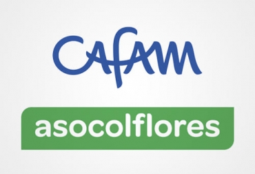 La campaña #CulturaParaLaSostenibilidad busca promover el vínculo entre educación, bienestar y participación cultural para el desarrollo sostenible. Foto: cafam.com.co - asocolflores.org Ganadería, ganadería colombia, noticias ganaderas, noticias ganaderas colombia, CONtexto ganadero, asocolflores, sostenibilidad de asocolflores, asocolflores y Cafam, cultura para la sostenibilidad, Agenda 2030, desarrollo sostenible