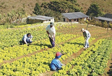 El Día Mundial de la Agricultura es la oportunidad propicia para reflexionar sobre el papel de los cultivos y de los productores en la seguridad alimentaria. Foto: curadas.com Día Mundial de la Agricultura, alimentación, agricultores, consumidores, cultivos, Cambio climático, plagas, enfermedades, Pandemia, COVID, fuerza laboral, pasturas, cereales, animales, crecimiento poblacional, Recursos Naturales, empalme generacional, equidad de género, productividad, eficiencia, optimización de costos, inocuidad, Acceso al crédito, Ganadería, ganadería colombia, noticias ganaderas colombia, CONtexto ganadero