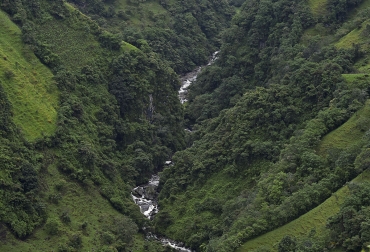 En Colombia, entre 2016 y 2019 MinAmbiente registró 219.912 hectáreas que aplican el pago por servicios ambientales (PSA). Foto: Luis Robayo / AFP Ganadería, ganadería colombia, noticias ganaderas, noticias ganaderas colombia, CONtexto ganadero, pagos por Servicios Ambientales, que son pagos por Servicios Ambientales, como se obtienen pagos por Servicios Ambientales, pagos por Servicios Ambientales en colombia, para que sirven los pagos por Servicios Ambientales,