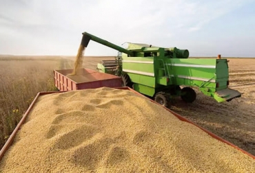 Brasil espera alcanzar una producción récord de granos impulsada por el maíz lo cual permitiría que los precios disminuyeran. Foto: infocampo.com.ar granos, maíz, soya, cereal, oleaginosas, Compañía Nacional de Abastecimiento, Brasil, Conab, Ministerio de Agricultura, campaña 2021/2022, cosecha, productores, humedad, Lluvias, siembras, pronósticos meteorológicos, la niña, productividad, área sembrada, importación, exportación, argentina, Paraguay, proveedor, Ganadería, ganadería colombia, noticias ganaderas colombia, CONtexto ganadero