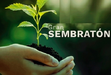 En la Gran Sembratón se plantaron cerca de cinco millones de árboles. A la fecha van 67.514.186 árboles gracias al liderazgo del Minambiente y al acompañamiento de alcaldías, gobernaciones, Ejército, ONG y sectores público y privado. Foto: Minambiente. Sembratón, cultivar la cultura de siembra de árboles, dónde sembrar árboles, cuencas, rondas hídricas, nacimientos de agua, zonas abastecedoras de acueductos, áreas protegidas, reservas forestales, cómo sembrar árboles, vacas, vacas Colombia, lechería, bovinos, ganadería bovina, ganadería bovina Colombia, noticias ganaderas, noticias ganaderas Colombia, contextoganadero