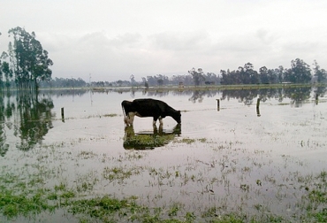 El aumento de las lluvias entre octubre, noviembre y diciembre podría estar entre un 10 y un 50 % por encima de los valores históricos. Foto: jrecolombia.blogspot.com.co Ganadería, ganadería colombia, noticias ganaderas, noticias ganaderas colombia, CONtexto ganadero, fenómeno de la niña 2021, fenomeno de la nina que es, el fenomeno de la nina, cual es el fenomeno de la nina, que es un fenomeno de la nina, fenomeno de la nina imágenes, que es el fenomeno de la nina, en que consiste el fenomeno de la nina, fenómeno de la Niña colombia, IDEAM, ideam colombia, fenomeno de la nina ideam, fenomeno de la nina 2022, fenomeno de la nina 2022 colombia