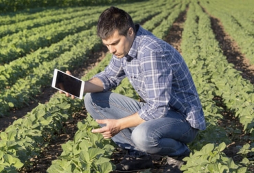 A propósito del Día del Agronómo, la firma internacional Yara presentó cinco razones por las que se necesitan más profesionales del sector en Colombia. Foto: alltecbio.com Agrónomos Colombia, ingenieros agrónomos, agrónomos, día del ingeniero agrónomo 24 de noviembre, Yara, Yara Colombia, Agronomía, ingeniero agrónomo, ingeniero agronomo sueldo, actividades de un ingeniero agrónomo, ingeniero agronomo universidades, ingeniero agronomo zootecnista, ganado bovino, ganadería bovina, carne, leche, ganaderos, ganaderos colombia, ganado, vacas, vacas Colombia, bovinos, Ganadería, ganadería colombia, noticias ganaderas, noticias ganaderas colombia, CONtexto ganadero, contextoganader