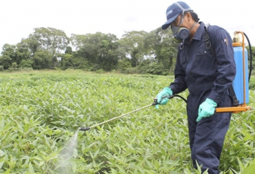 Los productores o trabajadores de finca podrían utilizar los plaguicidas de forma errada si no tienen la capacitación para manejarlos. Foto: acprevencion.com Problemáticas plaguicidas, plaguicidas ganadería, plaguicidas en pastos, residuos químicos en pastos, residuos químicos en leche, residuos en carne, uso de plaguicidas, plaguicidas y carne, Buenas Prácticas Ganaderas, ganado bovino, ganadería bovina, carne, leche, ganaderos, ganaderos colombia, ganado, vacas, vacas Colombia, bovinos, Ganadería, ganadería colombia, noticias ganaderas, noticias ganaderas colombia, CONtexto ganadero, contextoganadero