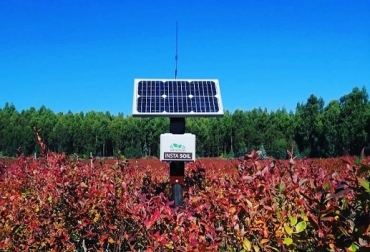 Según el Ministerio de Agricultura, únicamente cerca del 15% del sector agro en el país utiliza hoy en día tecnología de última generación. Foto: Instacrops Colombia, tecnología en sector agro colombiano, la baja implementación de tecnología en sector agro, desafíos agro en 2022, Hugo Arrubla, Instacrops en Colombia, resistencia cultural, pérdida de competitividad, malas decisiones de compra de tecnología, aliado tecnológico, AgTech, escasez hídrica, Por qué implementar tecnología en el agro, vacas, vacas Colombia, lechería, bovinos, ganadería bovina, ganadería bovina Colombia, noticias ganaderas, noticias ganaderas Colombia, contextoganadero