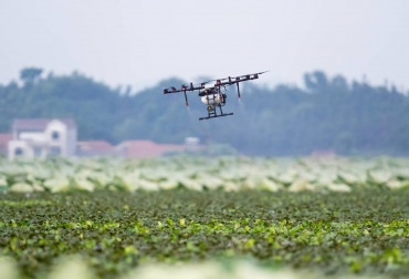 La tecnología dron puede ser una buena herramienta para aplicar de forma eficiente los productos fitosanitarios y minimizar sus riegos asociados. Foto: gophytodron.es drones agricultura