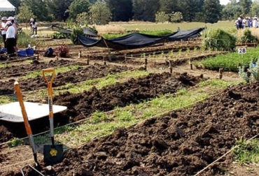 La agricultura o método biointensivo de cultivo que no requiere de productos químicos o maquinaria, por lo cual puede ser adoptado por pequeñas comunidades. Foto: encolombia.com metodo biointensivo de cultivo