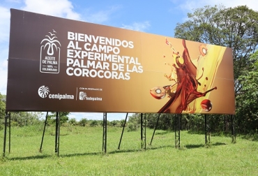 El Campo Experimental Palmar de las Corocoras está ubicado en Paratebueno, Cundinamarca, zona oriental de Colombia, y está concebido para atender la agronomía del cultivo, con énfasis en el manejo de suelos y en procesamiento. Foto: Fedepalma Campo Experimental Palmar de las Corocoras