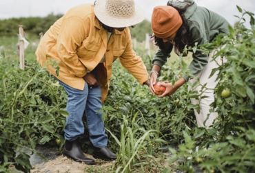 En 2021 Yara lanzó el programa ‘Mujeres en Agronomía’ (Women in Agronomy) para su equipo de colaboradoras, que ofrece oportunidades a mujeres agrónomas para apoyar su desarrollo profesional. Foto: Yara mujeres en agronomia de yara