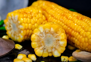 Industria del etanol, aliada en la alimentación de bovinos debido a que los DG contienen muchos nutrientes esenciales para los ganados. Foto: mujerhoy.com Industria del etanol, aliada en la alimentación de bovinos