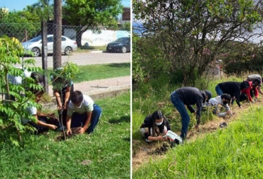 Cuando se habla de cuáles son los tipos de reforestación, las primeras categorías que se encuentran son urbana y rural. Foto: mindomo.com - reincorporacion.gov.co tipos de reforestacion
