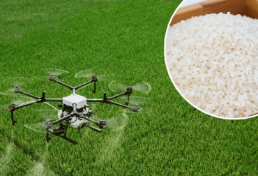 Con herramientas como agricultura de precisión, nueva genética y uso de adecuado de herbicidas se puede mejorar la calidad y el rendimiento del cultivo de arroz.Foto: Cortesía uso de drones en cultivos de arroz