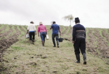 La carta campesina es un documento de algunas organizaciones reclamando algunos aspectos que al parecer el presidente electo les va a conceder. Foto: agrofercol.com Campesinos caminando